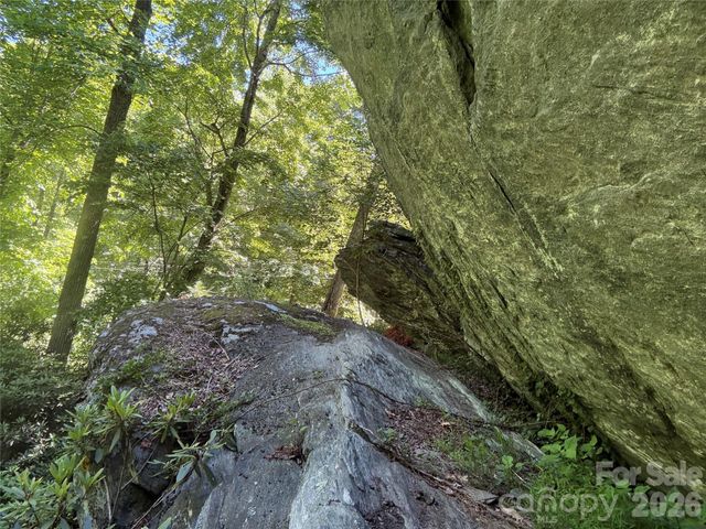1590 Shulls Mill Road, Boone, NC 28607