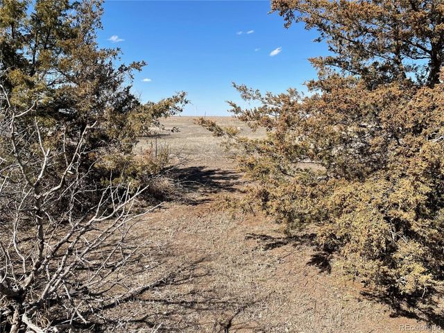 117 Lincoln Ave, Arriba, CO 80804