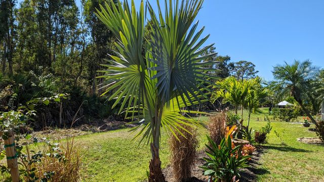 23238 Marsh Landing Boulevard, Estero, FL 33928