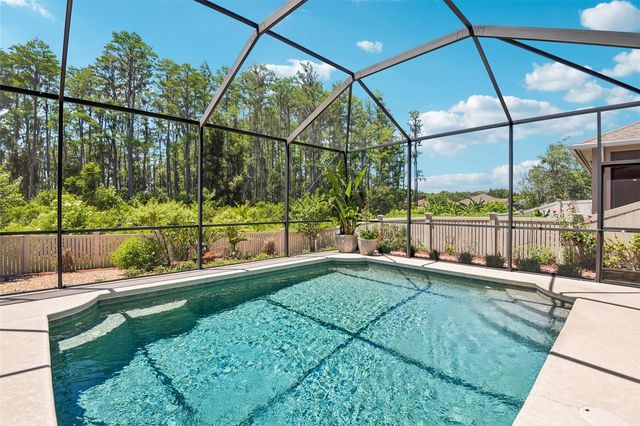 20932 AMANDA OAK COURT, Land O Lakes, FL 34638