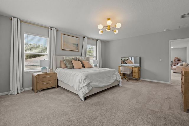 6847 DAINTREE COURT, Land O Lakes, FL 34638