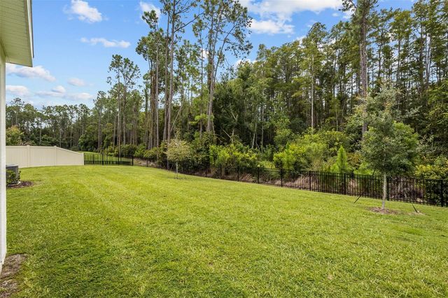 6847 DAINTREE COURT, Land O Lakes, FL 34638