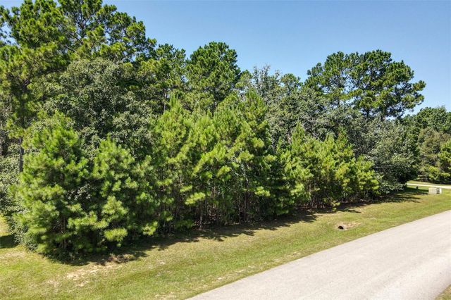 26095 Crown Ranch Boulevard, Montgomery, TX 77316