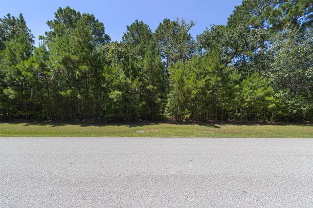 26095 Crown Ranch Boulevard, Montgomery, TX 77316