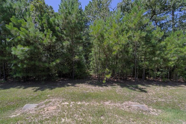 26095 Crown Ranch Boulevard, Montgomery, TX 77316