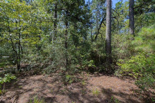26095 Crown Ranch Boulevard, Montgomery, TX 77316