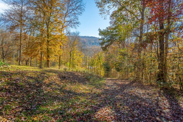 519 Hargiss Cove Road, South Pittsburg, TN 37380