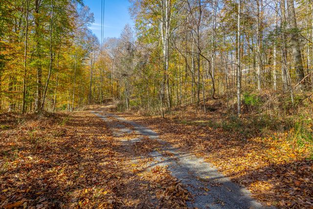 519 Hargiss Cove Road, South Pittsburg, TN 37380