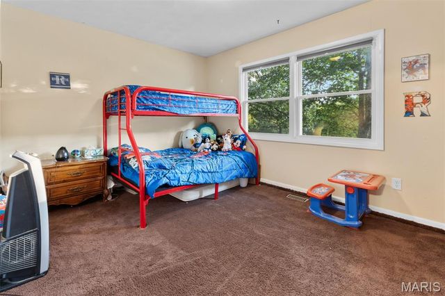 250 Mont Rouge Drive, Bonne Terre, MO 63628