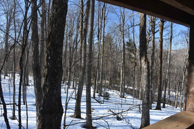 397 Winch Hill Extension, Roxbury, VT 05663
