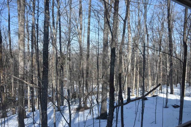 397 Winch Hill Extension, Roxbury, VT 05663