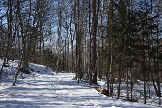 397 Winch Hill Extension, Roxbury, VT 05663