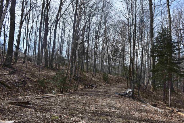 397 Winch Hill Extension, Roxbury, VT 05663