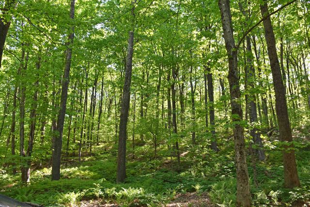 397 Winch Hill Extension, Roxbury, VT 05663