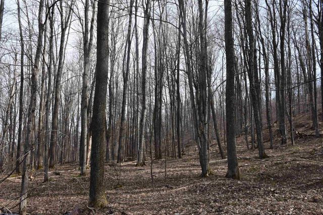 397 Winch Hill Extension, Roxbury, VT 05663