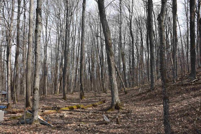 397 Winch Hill Extension, Roxbury, VT 05663