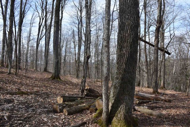 397 Winch Hill Extension, Roxbury, VT 05663