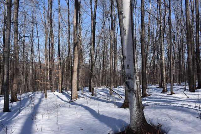 397 Winch Hill Extension, Roxbury, VT 05663