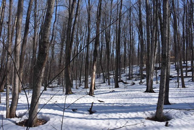 397 Winch Hill Extension, Roxbury, VT 05663