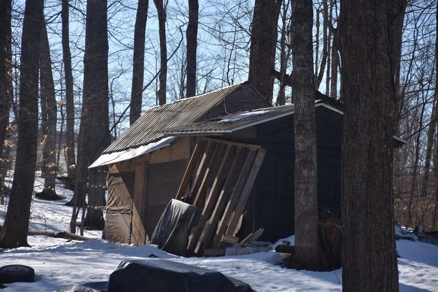 397 Winch Hill Extension, Roxbury, VT 05663