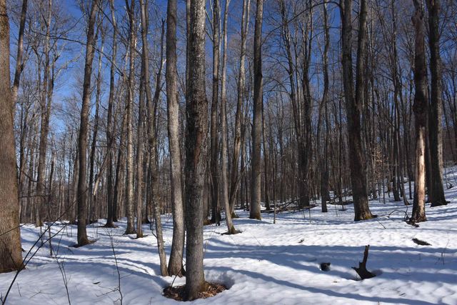 397 Winch Hill Extension, Roxbury, VT 05663