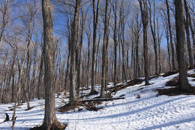 397 Winch Hill Extension, Roxbury, VT 05663