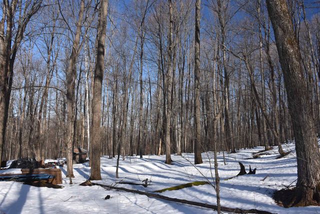 397 Winch Hill Extension, Roxbury, VT 05663