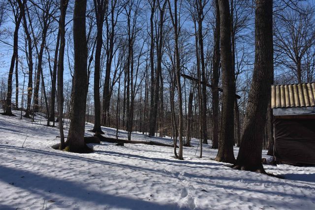 397 Winch Hill Extension, Roxbury, VT 05663