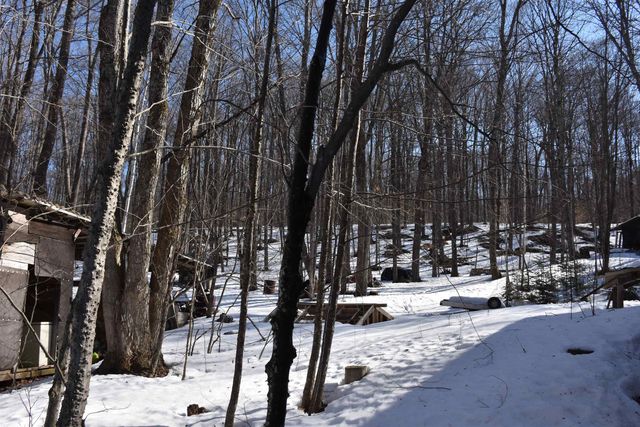 397 Winch Hill Extension, Roxbury, VT 05663