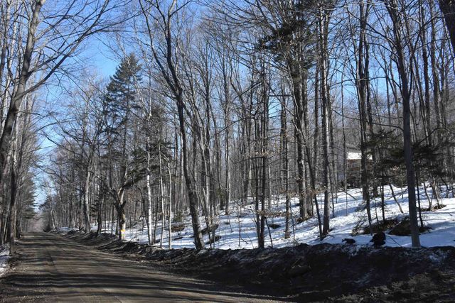 397 Winch Hill Extension, Roxbury, VT 05663