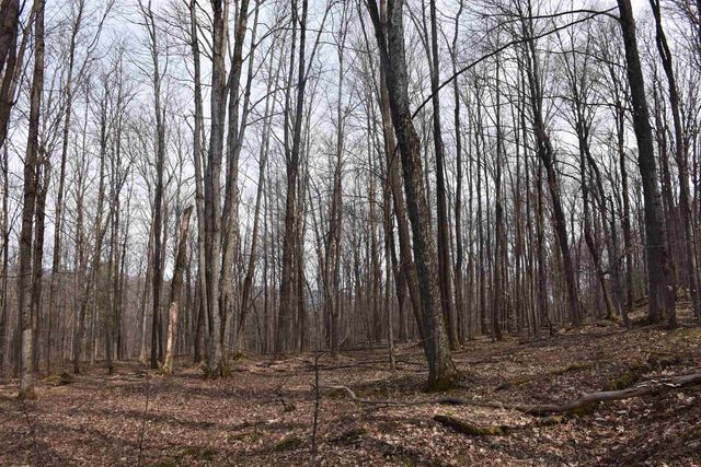 397 Winch Hill Extension, Roxbury, VT 05663