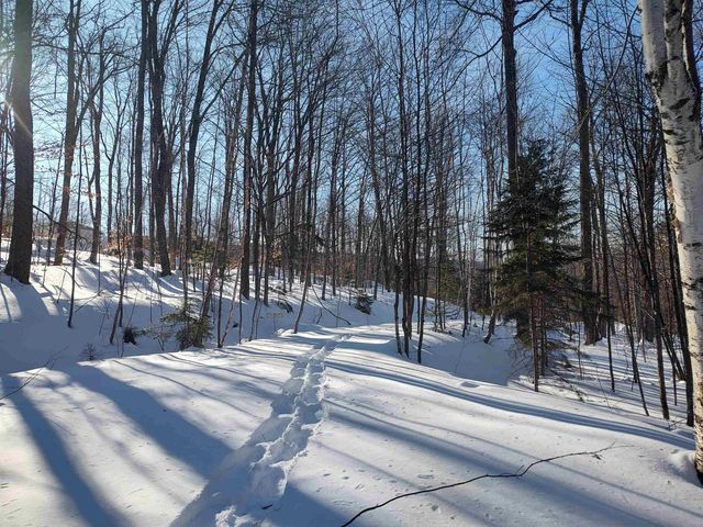 397 Winch Hill Extension, Roxbury, VT 05663