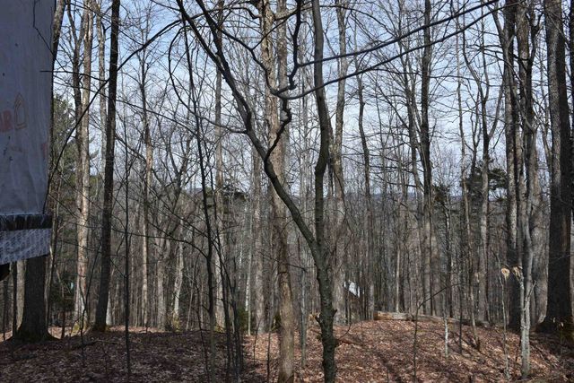 397 Winch Hill Extension, Roxbury, VT 05663