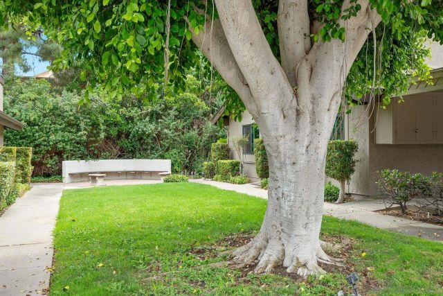 8362 Via Sonoma c, La Jolla, CA 92037