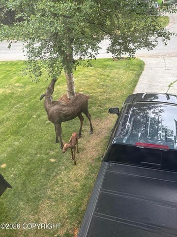 3511 Amber Bay Loop, Anchorage, AK 99515