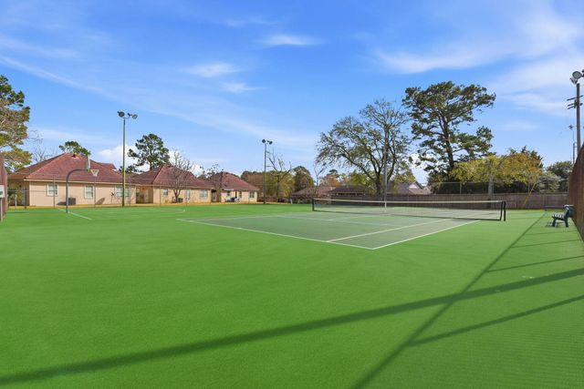 43 Regency Point, Montgomery, TX 77356