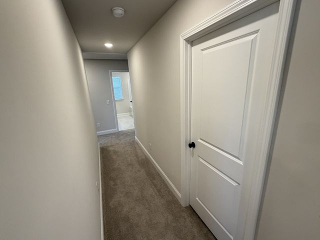 147 Emeline Way, Mount Juliet, TN 37122