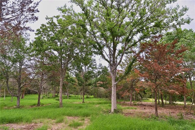 12411 Hopes Creek Road, College Station, TX 77845