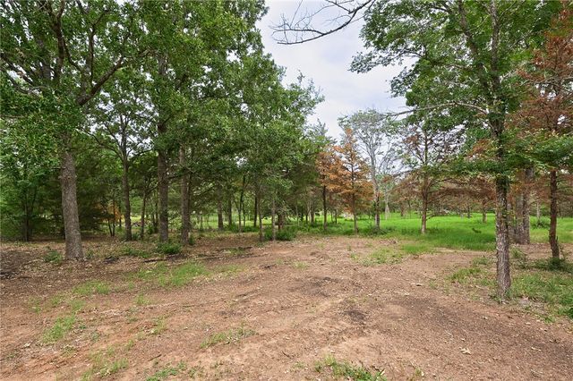 12411 Hopes Creek Road, College Station, TX 77845