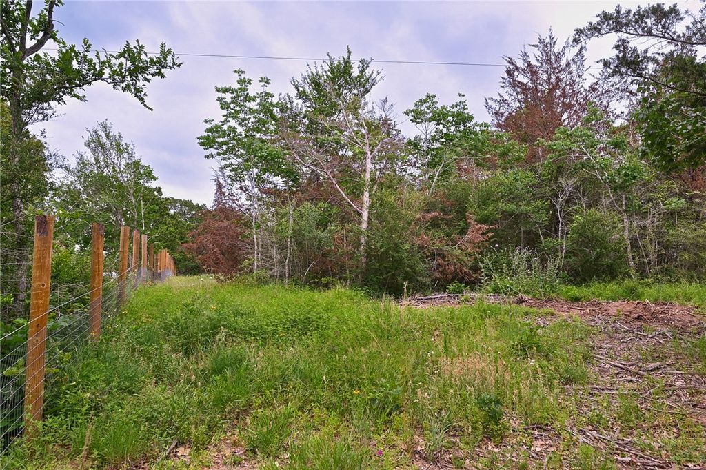 12411 Hopes Creek Road, College Station, TX 77845 — photo 5