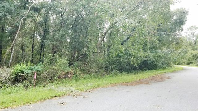 9775 N DEARING LOOP, Citrus Springs, FL 34434