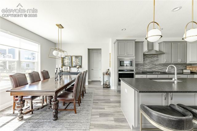 146 Kitselman Drive, Castle Rock, CO 80104