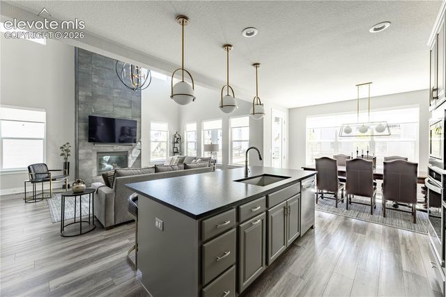 146 Kitselman Drive, Castle Rock, CO 80104