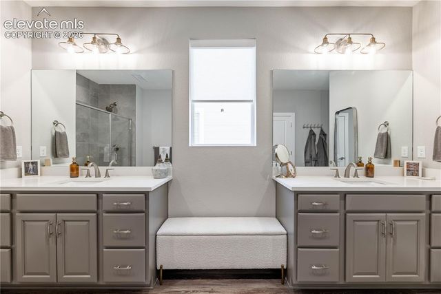 146 Kitselman Drive, Castle Rock, CO 80104