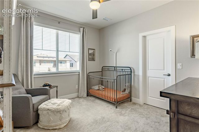 146 Kitselman Drive, Castle Rock, CO 80104