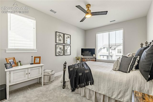 146 Kitselman Drive, Castle Rock, CO 80104