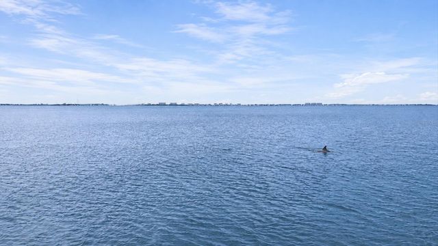 1020 23RD STREET, Sarasota, FL 34234