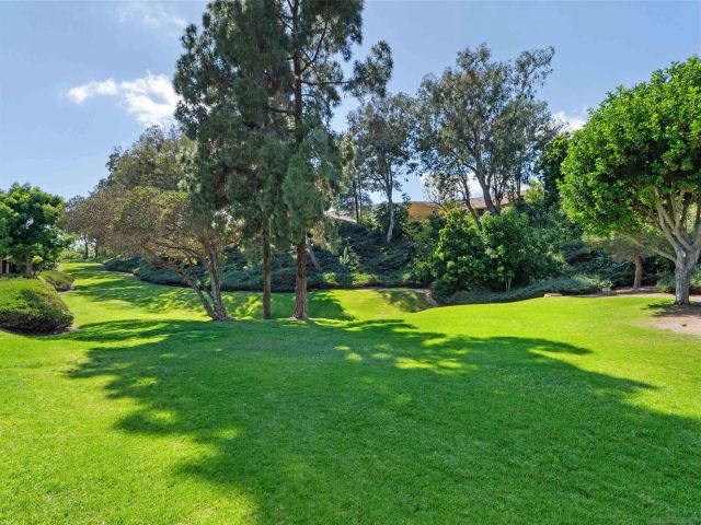 10515 Caminito Rimini, San Diego, CA 92129