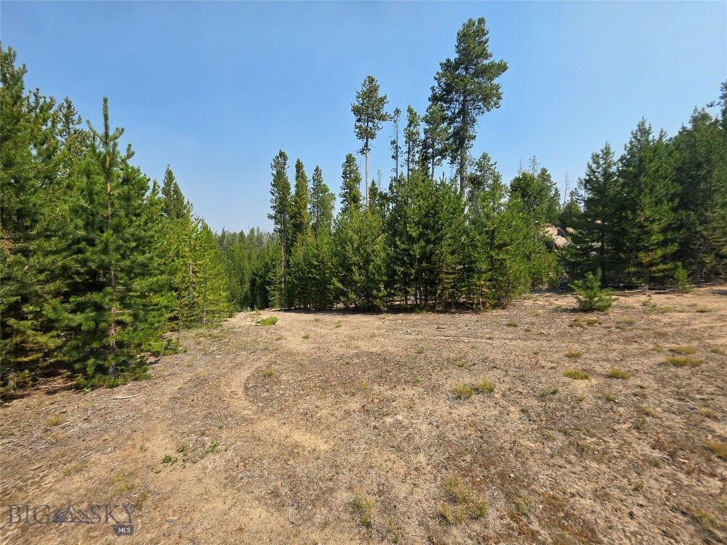 NHN Sparo #10467, Butte, MT 59701 photo 1