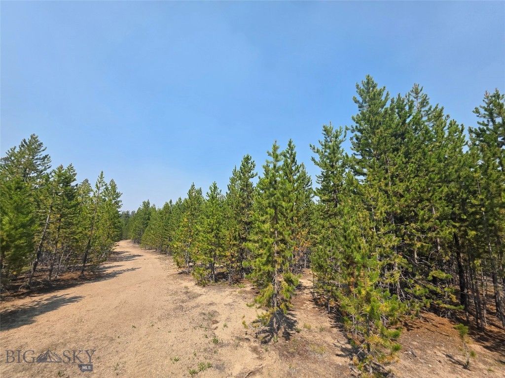 NHN Sparo #10467, Butte, MT 59701 photo 2